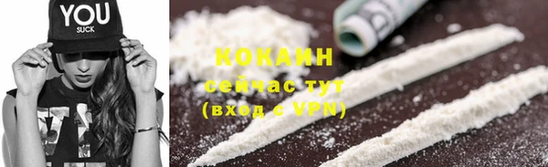 соль ск Елизово