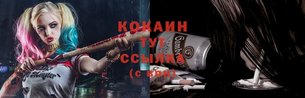 мдма Ельня