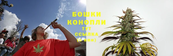 ешки Елабуга