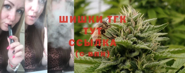 соль ск Елизово