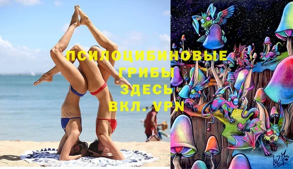 мдма Ельня
